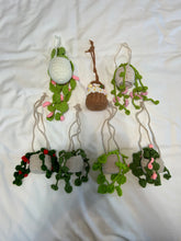 Load image into Gallery viewer, Crochet Plant Hanger
